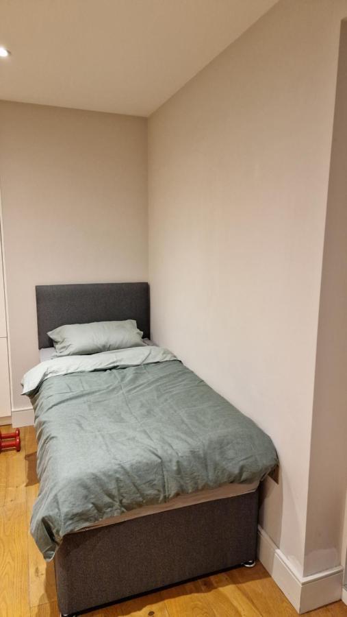 London City Apartment Ealing Bagian luar foto